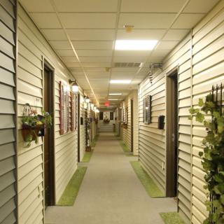 A uniquely styled indoor corridor resembling an outdoor street, complete with windows, lighting, and decorative plants.