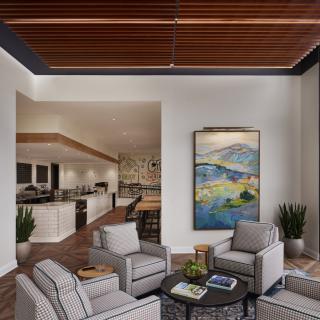 A modern open-concept living and kitchen area featuring stylish furniture, artwork on the wall, and indoor plants.