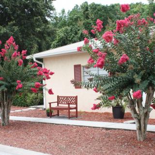 A small house with a garden featuring blooming trees and a bench outside.