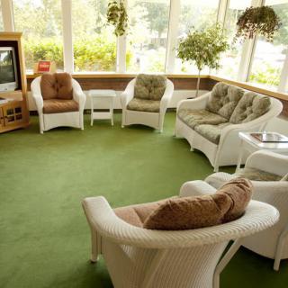A cozy living room with wicker furniture and green carpet, featuring indoor plants and a television.