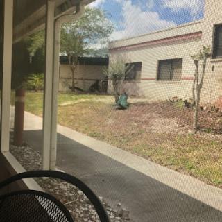 A serene view of a courtyard with buildings in the background, featuring trees and a clear sky.