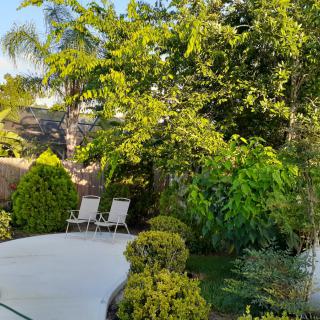 A serene garden setting with lush greenery and two chairs under the sunlight.