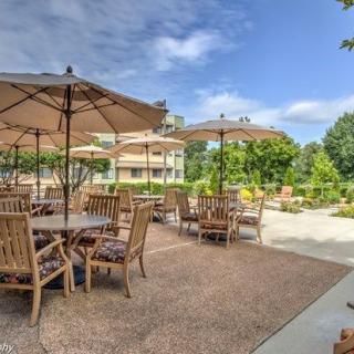 A sunny outdoor patio with wooden tables, chairs, and umbrellas set amidst landscaped greenery.