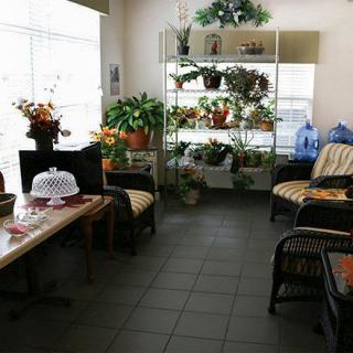 A cozy indoor seating area with various plants and natural light.