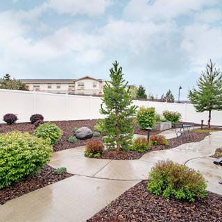 A well-maintained garden with a winding pathway surrounded by various plants and trees.