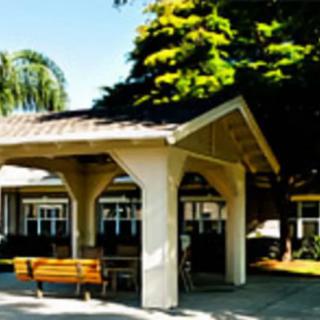 A small covered outdoor structure with benches surrounded by trees.