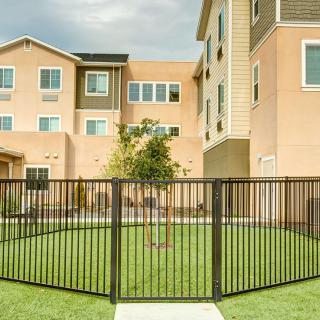 A modern apartment complex with a fenced lawn area and tree.