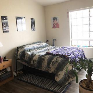 A cozy bedroom with a bed, posters on the walls, a plant by the window, and a nightstand with a lamp.