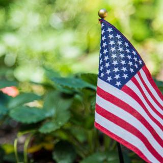 An American flag planted in a garden with lush green foliage in the background.