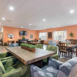 A cozy dining room interior with a mix of tables, chairs, and decorative plants.