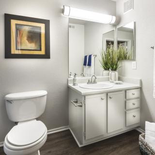 A modern bathroom with a white sink, toilet, and decorative elements.