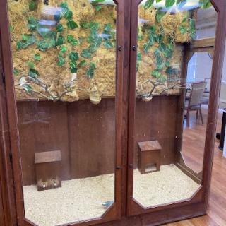 A beautifully crafted wooden display case with glass panels, featuring decorative plants and a sandy base.