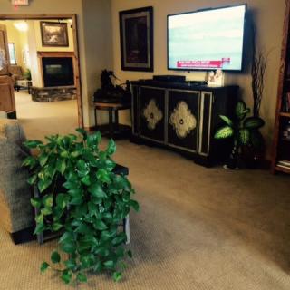A cozy living room with a television, indoor plant, and elegant decor.