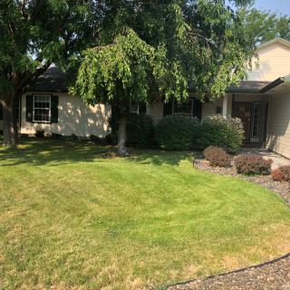 A well-maintained house with a lush green lawn and surrounding trees.