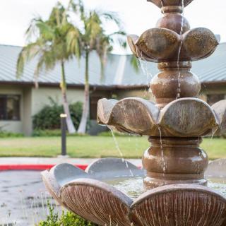 A multi-tiered fountain set in an outdoor garden with palm trees and a building in the background.