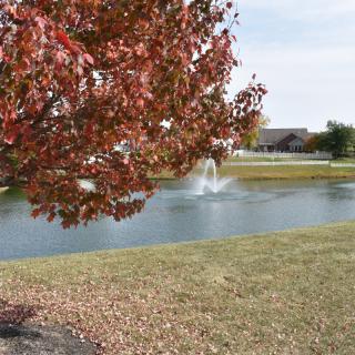 A serene autumn landscape with a tree by a pond and a fountain in the background.