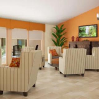 A cozy living room with striped chairs and orange walls, accented by a decorative plant and modern furniture.