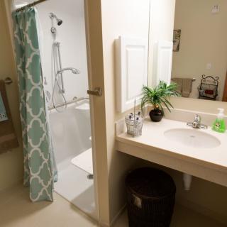 A clean and organized bathroom with a sink, shower, and decorative plant.