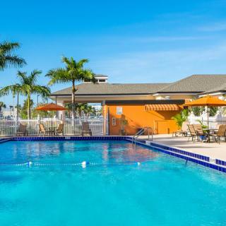 A serene tropical resort with a sparkling outdoor swimming pool surrounded by palm trees.
