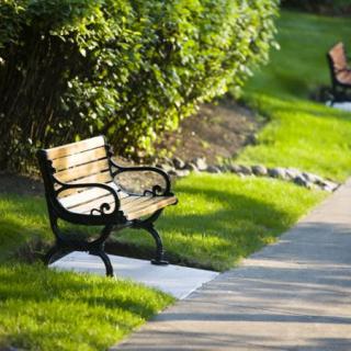 A peaceful park scene with a wooden bench beside a well-maintained pathway, surrounded by lush greenery.