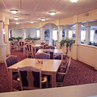An empty dining area with neatly arranged tables and chairs, featuring carpet flooring and decorative plants.