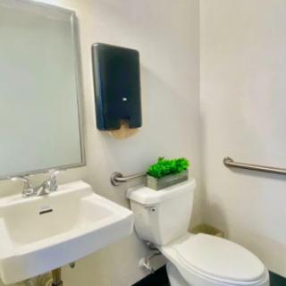 A clean, minimalist bathroom with a sink, mirror, toilet, and a small plant for decoration.