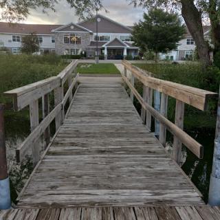 A serene wooden dock leading to a waterfront building, surrounded by lush greenery.