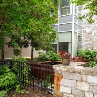 A serene corner of a garden featuring lush greenery and modern architectural elements.