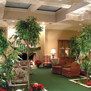 A cozy indoor lobby area featuring lush greenery and comfortable seating.