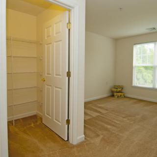 An empty room with a closet and carpeted floor, illuminated by natural light from a window.