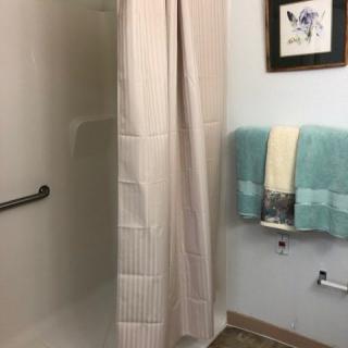 A bathroom with a shower, light-colored shower curtain, teal and white towels, and wall art.
