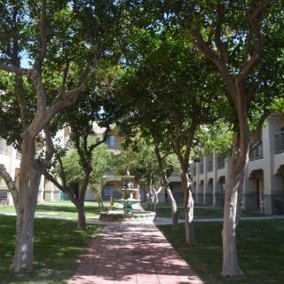 A serene courtyard with a tree-lined pathway and surrounding architecture.