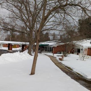 A snowy landscape featuring a tree and residential buildings along a pathway.