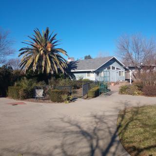 Roseleaf Oroville