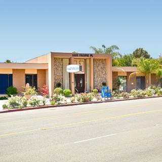 A sunny day showcasing a vibrant commercial building with palm trees and flowers in the landscape.