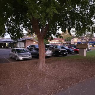 A view of a parking lot with various cars surrounded by trees during the evening.