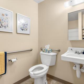 A small bathroom with a toilet, sink, and mirror, featuring handrails and decorative artwork.
