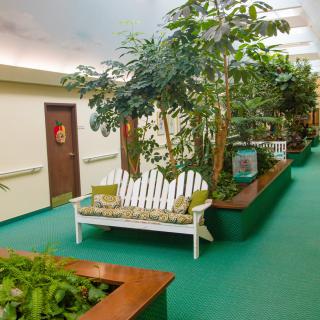 A tranquil indoor lobby with lush plants, a green carpet, and a cozy bench for relaxation.