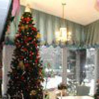 A decorated Christmas tree stands inside a cozy, festive room.