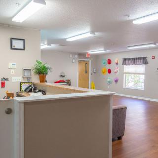 A bright and welcoming reception area with a desk, decorative elements on the walls, and a wooden floor.