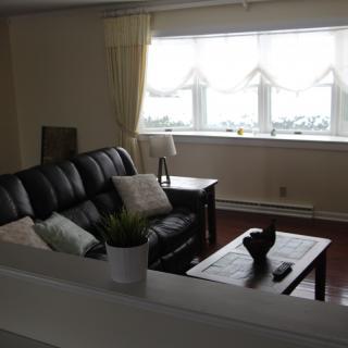 A cozy living room with a sofa and coffee table, adorned with cushions and an indoor plant near a large window.