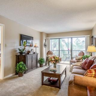 A cozy living room with a sofa, coffee table, and large windows letting in natural light.