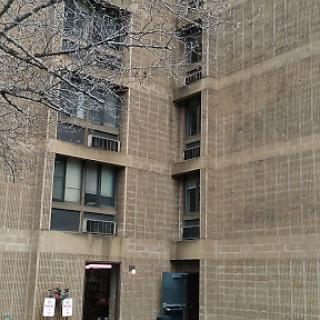 A close-up view of a concrete building featuring multiple windows and a tree in the foreground.