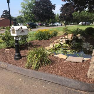 A well-kept garden featuring a decorative mailbox and a serene pond.