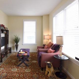 A cozy living room featuring a sofa, side table with a lamp, and a colorful rug, with natural light streaming in through large windows.