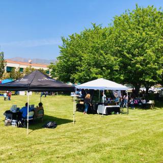A sunny outdoor event with people gathered under tents in a grassy park.
