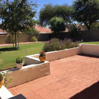 A sunny backyard patio area with a garden, trees, and potted plants.