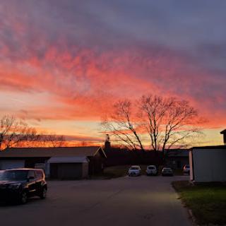 A stunning sunset casts vibrant colors across the sky, silhouetting trees and vehicles.