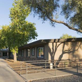 A modern building surrounded by trees with a ramp leading to the entrance, bathed in sunlight.