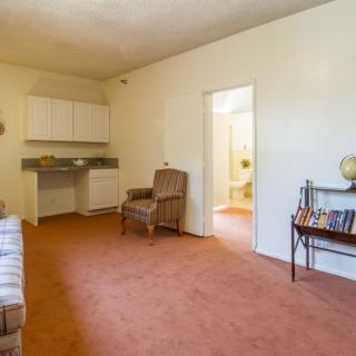 A cozy living room with a sofa, armchair, and small kitchenette.